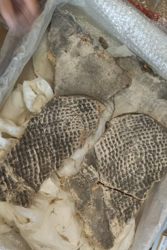 Figure 12 Remains of parget on The Close. SWM Box 299