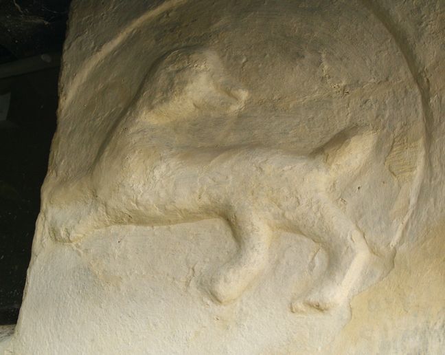 Figure 36 E10 dog