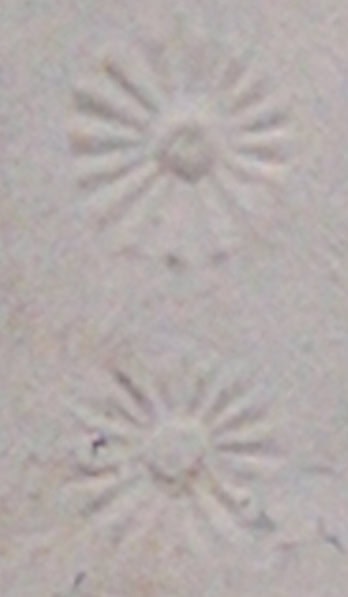 24 Daisy